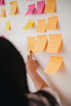 Organise intentionally